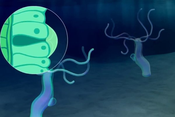 Kraken маркетплейс как зайти