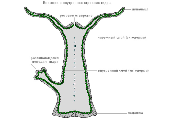 Кракен официальный сайт krakens13 at