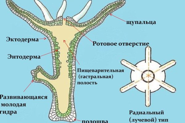 Как зарегистрироваться на кракене из россии