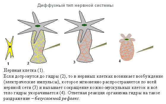 Ссылка на кракен тор браузер